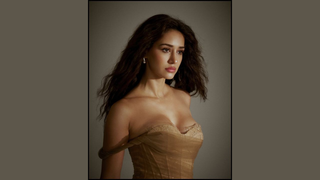 અભિનેત્રીએ ખુલાસો કર્યો હતો કે, તે નાનપણમાં ખૂબ જ શરમાળ હતી. તે કોઈની સાથે જલ્દી વાત પણ નહોતી કરતી. દિશાએ વધુમાં એ પણ કહ્યું કે, ફિલ્મોમાં આવ્યા પછી તેનામાં ઘણો આત્મવિશ્વાસ આવ્યો છે.