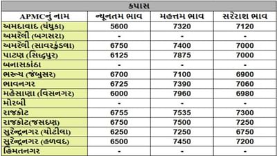 કપાસના તા.04-04-2025ના રોજ APMCના ભાવ રૂ.5600 થી 7960 રહ્યા.