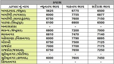 કપાસના તા.22-04-2025ના રોજ APMCના ભાવ રૂ.5625 થી 7790 રહ્યા.