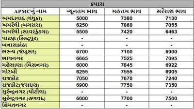 કપાસના તા.23-04-2025ના રોજ APMCના ભાવ રૂ.5000 થી 7860 રહ્યા.