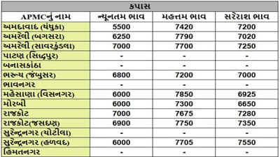 કપાસના તા.24-04-2025ના રોજ APMCના ભાવ રૂ.5500 થી 7850 રહ્યા.