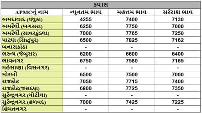 કપાસના તા.25-04-2025ના રોજ APMCના ભાવ રૂ.4255 થી 7825 રહ્યા.