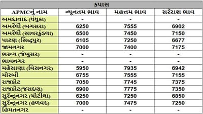 કપાસના તા.29-04-2025ના રોજ APMCના ભાવ રૂ.5950 થી 7935 રહ્યા.