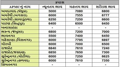 કપાસના તા.11-04-2025ના રોજ APMCના ભાવ રૂ.5000 થી 7795 રહ્યા.