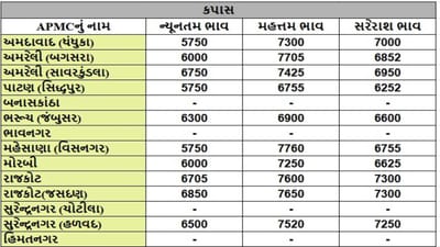 કપાસના તા.15-04-2025ના રોજ APMCના ભાવ રૂ.5750 થી 7705 રહ્યા.