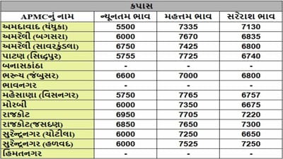 કપાસના તા.16-04-2025ના રોજ APMCના ભાવ રૂ.5500 થી 7765 રહ્યા.