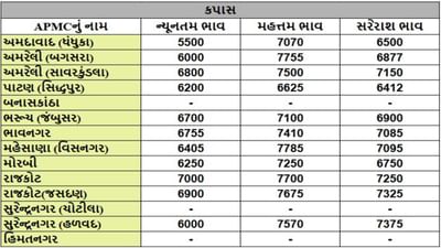 કપાસના તા.17-04-2025ના રોજ APMCના ભાવ રૂ.5500 થી 7785 રહ્યા.