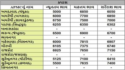કપાસના તા.19-04-2025ના રોજ APMCના ભાવ રૂ.5000 થી 7815 રહ્યા.