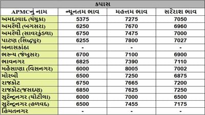 કપાસના તા.03-04-2025ના રોજ APMCના ભાવ રૂ.5375 થી 8005 રહ્યા.