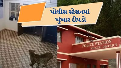 Leopard in Police Station : શિકારની શોધમાં પોલીસ સ્ટેશનમાં ઘુસી ગયો દીપડો, જુઓ CCTVમાં પોલીસકર્મીએ શું કર્યુ