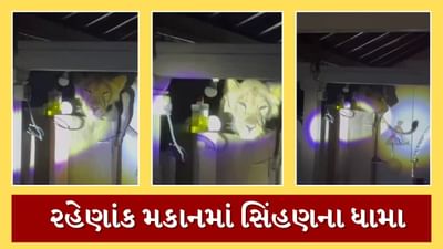 lioness In House : પરિવાર સુતો હતો ત્યારે ખુંખાર સિંહણ ઘરમાં ઘૂસી ગઇ, પરિવારના લોકો ધ્રૂજી ગયા, જુઓ Video