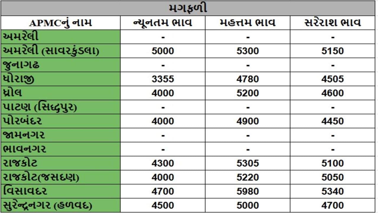 મગફળીના તા.17-04-2025ના રોજ APMCના ભાવ રૂ.3355 થી 5980 રહ્યા.