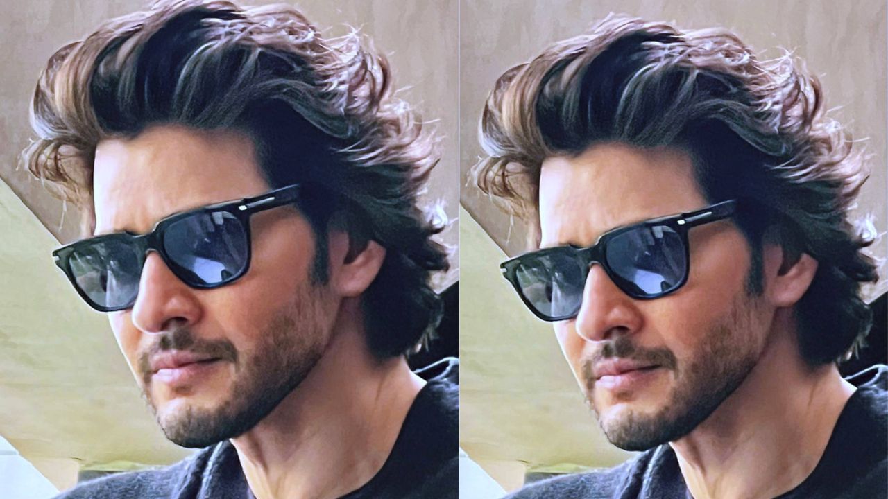 કંપનીએ મહેશ બાબુને ગ્રીન મીડોઝ પ્રોજેક્ટ માટે બ્રાન્ડ એમ્બેસેડર બનાવ્યા હતા.