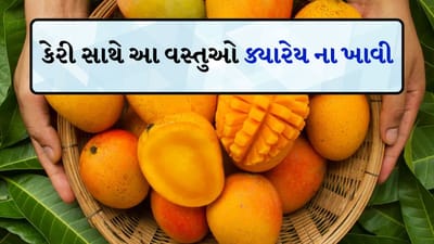 ફળોનો રાજા કેરી મોટાભાગના લોકોનું પ્રિય ફળ છે. જે લોકોને તેનો સ્વાદ ગમે છે તેઓ તેને ખાવા માટે બહાના શોધતા રહે છે. પરંતુ અમુક વખતે કેરી સાથે વિરોધ આહાર ખવાય જાય તો ફાયદાને બદલે નુકસાન કરી શકે છે.