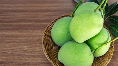 ઉનાળો આવે એટલે બજારમાં સરળતાથી કાચી કેરી મળી જતી હોય છે. ત્યારે તેને ખાવાથી ગરમીથી બચી શકાય છે. કેટલાક લોકો કાચી કેરી ખાતા હોય છે. તો કેટલાક લોકો કાચી કેરીનો શરબત બનાવીને પીતા હોય છે. પરંતુ બાળકોને કેરી ખાટી લાગતી હોવાથી તે ખાવાનું ટાળે છે. 