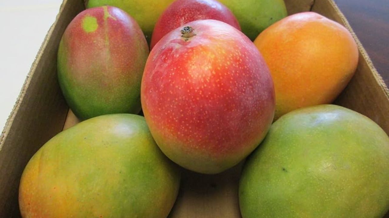 પ્રોસેસ્ડ ફૂડ; કેરી સાથે ચિપ્સ, બર્ગર અથવા જંક ફૂડ જેવા પ્રોસેસ્ડ ફૂડ ખાવાથી પાચનતંત્ર પર દબાણ આવે છે અને વ્યક્તિને પેટ ફૂલેલું અથવા ભારેપણું અનુભવાઈ શકે છે.