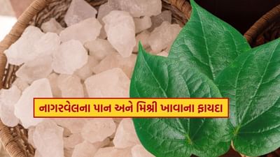 નાગરવેલના પાન ચાવવાથી પાચનક્રિયા સુધરે છે અને કબજિયાત, એસિડિટી અને અપચો જેવી સમસ્યાઓમાં રાહત મળે છે.