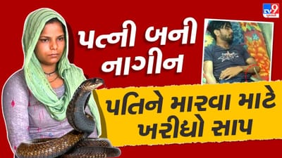 પતિને મારવા માટે ખરીદ્યો સાપ, બનાવ્યો વીડિયો, રાઝ ખુલ્યો તો થયા ચોંકાવનારા ખુલાસા