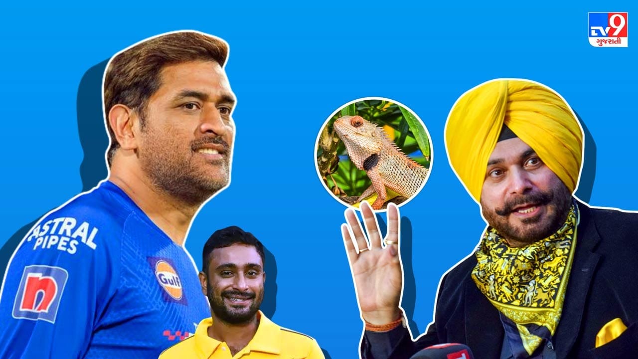 VIDEO : નવજોત સિંહ સિદ્ધુએ એમએસ ધોનીને કાચિંડો કહ્યો ? અંબાતી રાયડુ પર કર્યો વળતો પ્રહાર