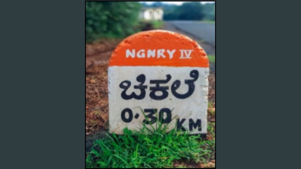 ઓરેન્જ માઇલસ્ટોન: ઓરેન્જ માઇલસ્ટોન ગામમાં જોવા મળે છે. જ્યારે પણ તમે કોઈ ગામમાં જશો તો ત્યાં આગળ તમને આ ઓરેન્જ માઇલસ્ટોન દેખાશે. આ રંગ પ્રધાનમંત્રી ગ્રામ સડક યોજનાનું પ્રતિનિધિત્વ કરે છે.