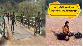 પૈસાની લાલચે લીધો પહેલગામમાં પ્રવાસીઓના જીવ ! પૈસાની લાલચે લીધો પહેલગામમાં પ્રવાસીઓના જીવ !