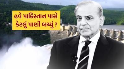 Pahalgam Attack : પાકિસ્તાન પાસે કેટલું પાણી બચ્યું છે ? આ એક ભૂલથી 25 કરોડ લોકો પીડાશે તે નક્કી