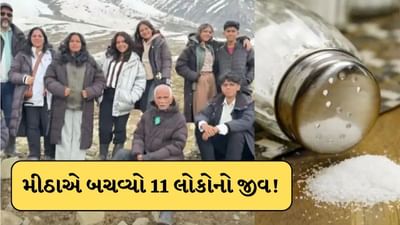 મીઠાએ બચાવ્યો જીવ ! ખાવામાં મીઠું વધારે પડ્યું ને બચી ગયા આ 11 લોકો, ઘટના જાણી ચોંકી જશો