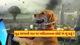 પાકિસ્તાનીઓએ પોતાના જ દેશની મજાક ઉડાવી, જોઈ લો તમારી આંખે પાકિસ્તાનીઓએ પોતાના જ દેશની મજાક ઉડાવી, જોઈ લો તમારી આંખે