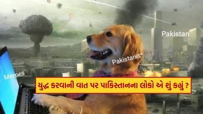 Pahalgam Terror Attack : સોશિયલ મીડિયા પર જ યુદ્ધ ! પાકિસ્તાનીઓએ પોતાના જ દેશની મજાક ઉડાવી, જોઈ લો તમારી આંખે