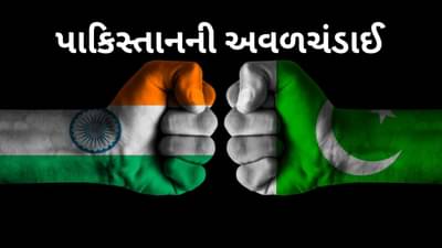 પાકિસ્તાનના એક નિર્ણયને કારણે ભારતની નંબર 1 કંપનીના ડૂબ્યા 8 હજાર કરોડ