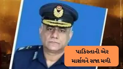 બાલાકોટ પછી ભારતમાં હવાઈ હુમલાનું કાવતરું ઘડનાર પાકિસ્તાની એર માર્શલને મળી સજા