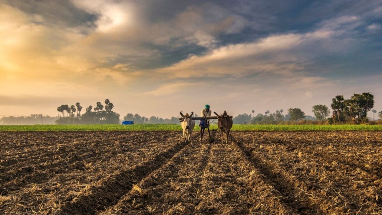 પાટીદારો કણબી સમુદાયમાંથી ઉદ્ભવે છે, જે મહારાષ્ટ્ર અને ગુજરાતમાં એક ખેડૂત જાતિ છે. આ ખેડૂતો મુખ્ય બે પેટાજૂથોમાં વિભાજિત થયા છે. જે વર્તમાન સમયમાં ગુજરાતમાં વસવાટ કરે છે.