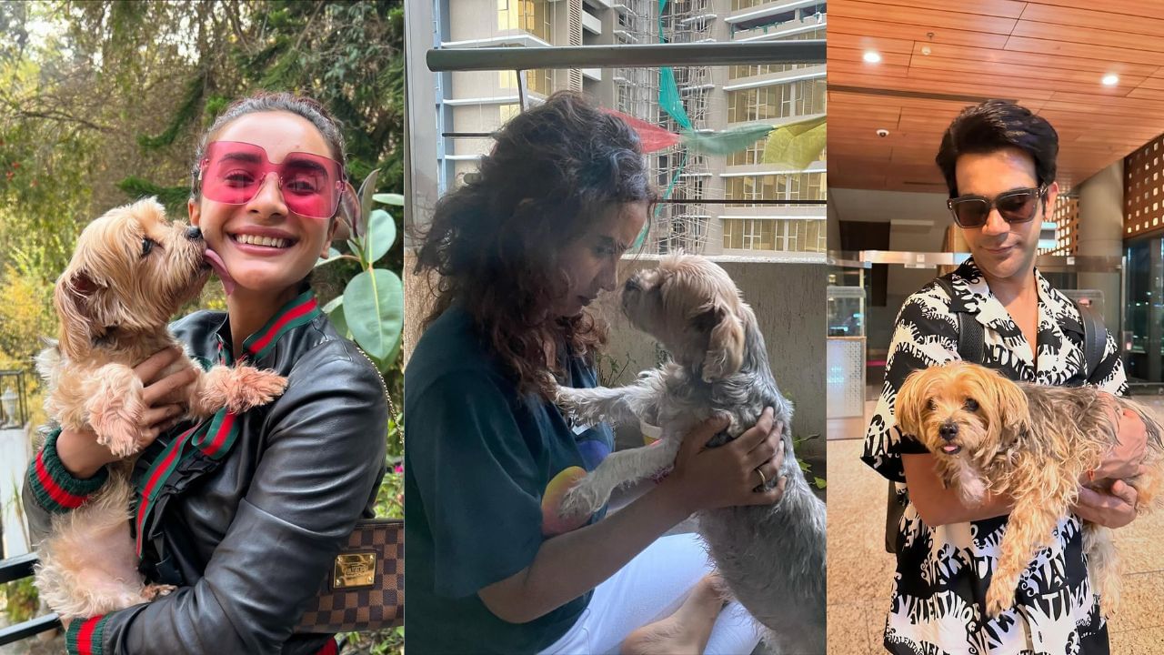 પત્રલેખા  પોલે ડ્રામા ફિલ્મ સિટીલાઈટ્સ (2014) થી અભિનયની શરૂઆત કરી હતી, જેના માટે તેમણે ફીમેલ માટે સ્ક્રીન એવોર્ડ જીત્યો હતો. 