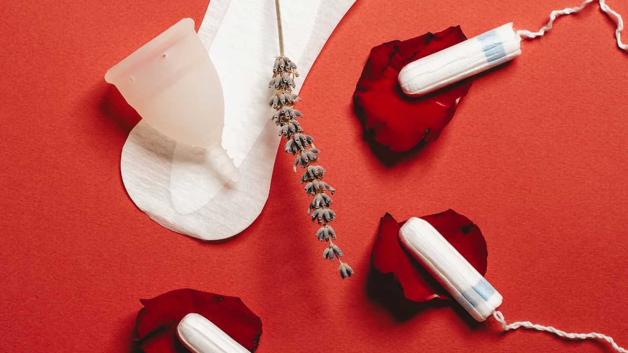 નોંધ : અહીં આપવામાં આવેલી માહિતી ફક્ત આપની જાણકારી માટે છે. કોઈ પણ ઈલાજ કરતાં પહેલા કે,અમલમાં લેતા પહેલા નિષ્ણાતોની સલાહ લેવી જરુરી છે. ( all photo:canva)