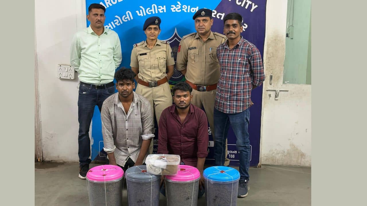 Surat : ઓરિસ્સાથી ગુજરાતમાં ઘુસાડવામાં આવતા ગાંજાનો જથ્થો જપ્ત, 2 શખ્સોની ધરપકડ, જુઓ Video