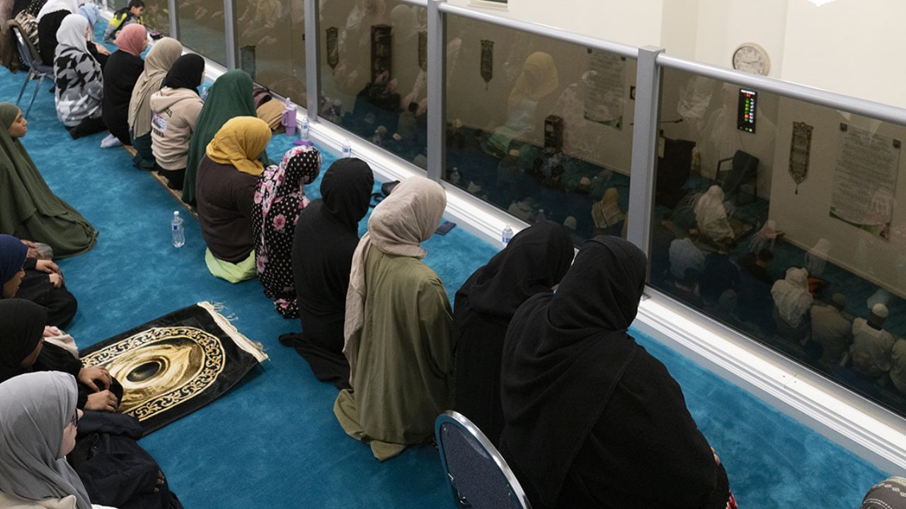 ભારત, પાકિસ્તાન, બાંગ્લાદેશ અને અફઘાનિસ્તાનમાં ઘણા મુસ્લિમ પરિવારોએ આ અટક તરીકે અપનાવી છે.