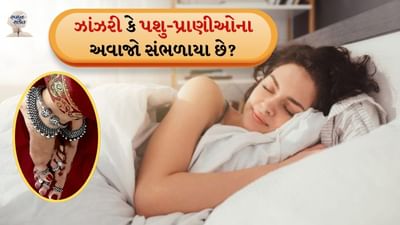 સ્વપ્ન સંકેત:  કેટલાક લોકો આ અવાજોને અનુસરવાનું શરૂ કરે છે જેથી તેઓ શોધી શકે કે આ અવાજો ક્યાંથી આવી રહ્યા છે. પરંતુ જ્યારે આ અવાજો ચોક્કસ સમયે આવે છે ત્યારે તેનું પાલન ન કરવું જોઈએ અને ન તો રૂમની લાઇટ ચાલુ કરવી જોઈએ. આનું કારણ એ છે કે એવું કહેવાય છે કે રાત્રે આવતા આ અવાજો કોઈ નેગેટિવ એનર્જીની હાજરી દર્શાવે છે. કેટલાક અવાજો આપણા માટે શુભ સંકેતો પણ લાવે છે. તે એ પણ સૂચવે છે કે તમારા સારા સમય આવવાના છે. ચાલો જાણીએ તે અવાજો વિશે જે આપણા માટે શુભ સંકેતો લાવે છે...
