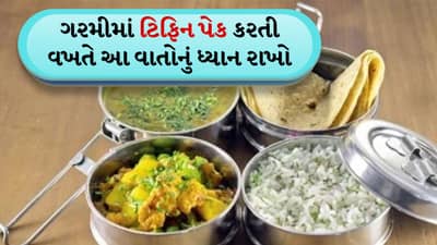 ઉનાળામાં ટિફિન પેક કરતી વખતે આ બાબતોનું ધ્યાન રાખો, તમારું લંચ બગડશે નહીં