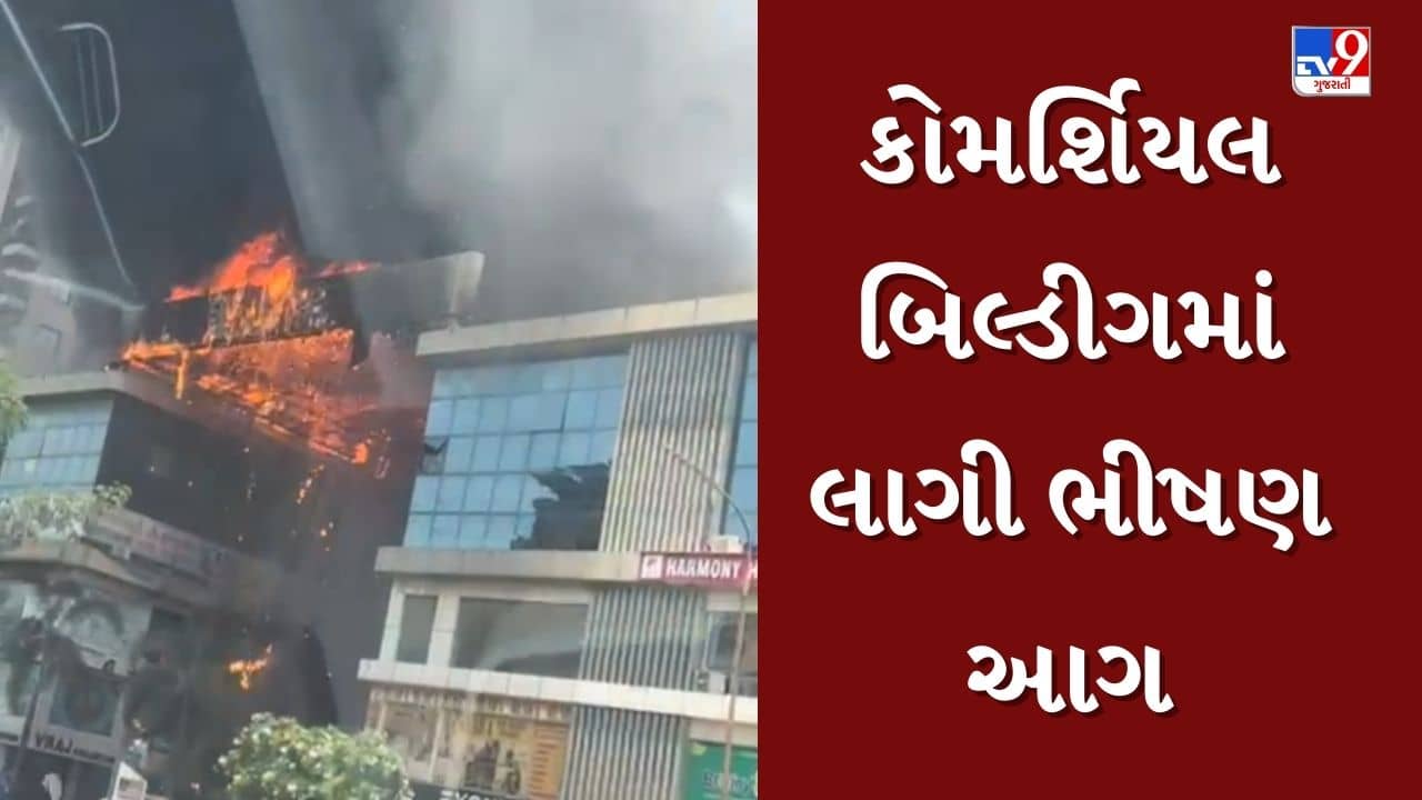 Surat : પાલનપુરના કોમર્શિયલ બિલ્ડીગમાં લાગી ભીષણ આગ, દૂર-દૂર સુધી જોવા મળ્યા ધુમાડાના ગોટે ગોટા, જુઓ Video
