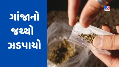 Gandhinagar : અડાલજમાંથી ઝડપાયો ગાંજાનો જથ્થો, આરોપીની ધરપકડ કરી હાથ ધરી તપાસ, જુઓ Video