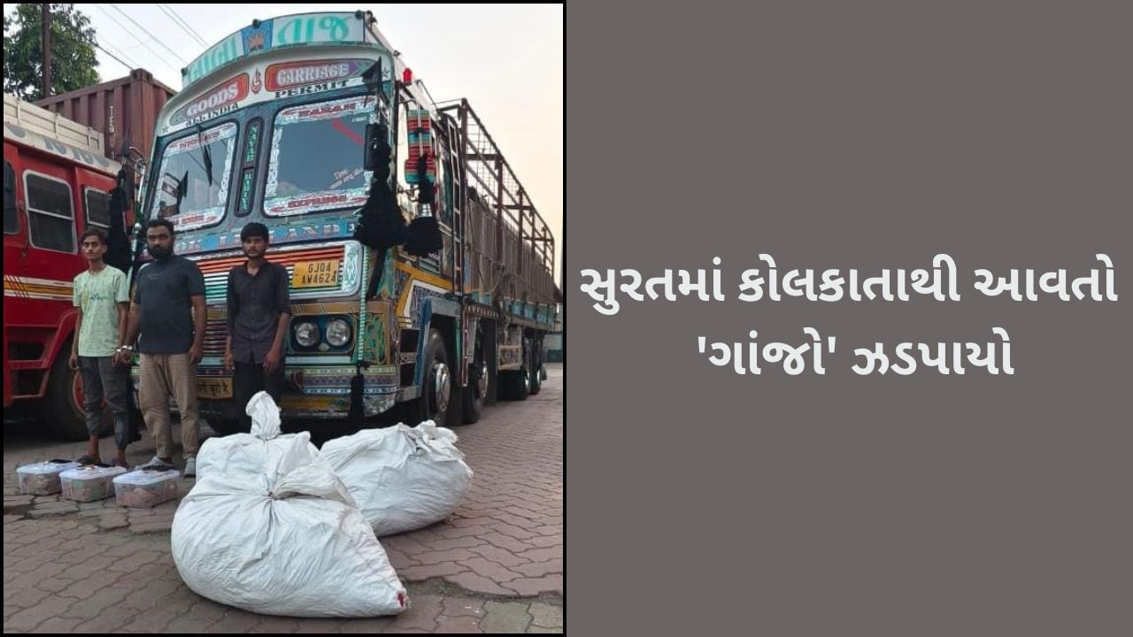 સુરતમાં SMCએ 6 લાખથી વધુનો ગાંજો કર્યો જપ્ત- જુઓ Video