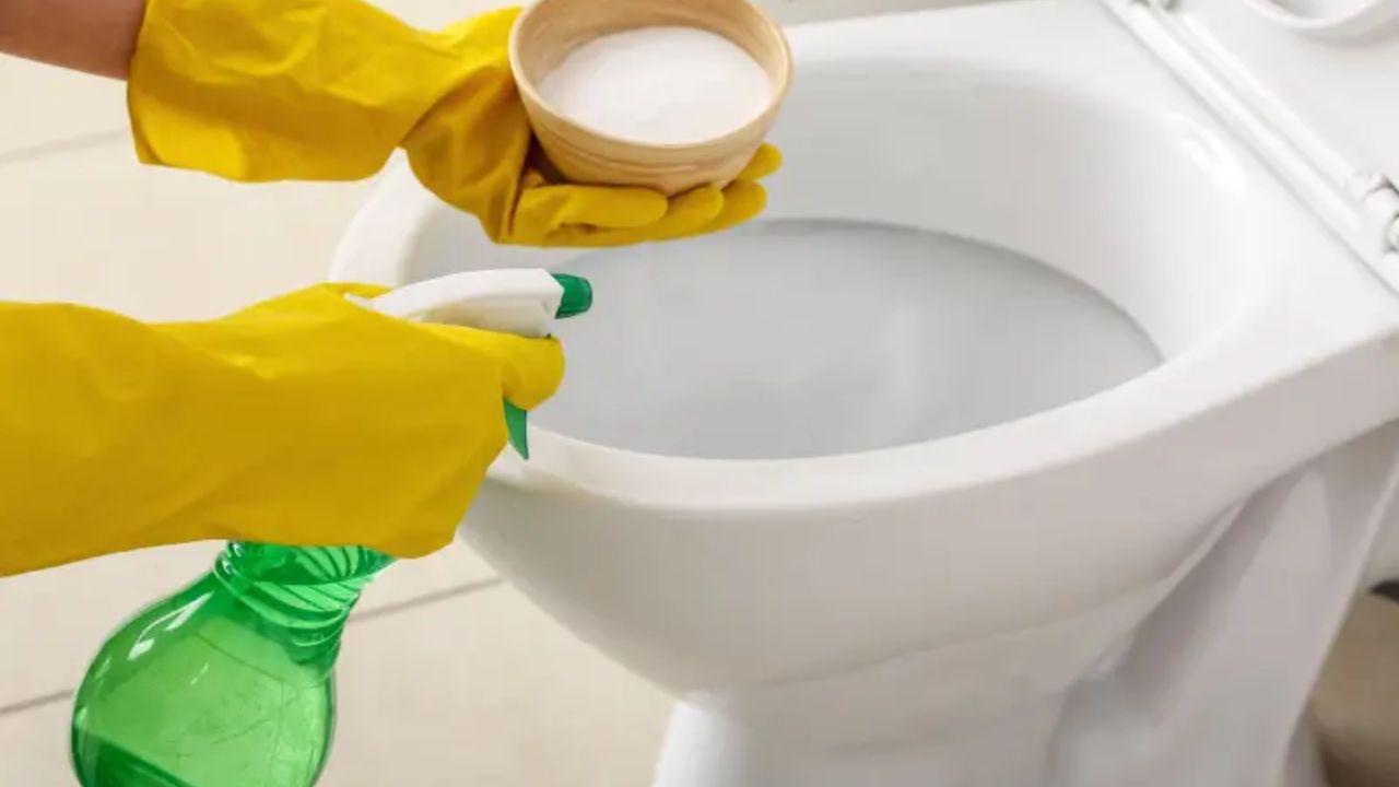 સ્ટીમ ક્લીનરથી ટોયલેટ સાફ કરો: તમે તમારા ટોયલેટને સ્ટીમ ક્લીનરથી પણ સાફ કરી શકો છો. આનાથી તમે તમારા ટોયલેટને હાથથી સ્પર્શ કર્યા વિના ઊંડાણપૂર્વક સાફ કરી શકો છો. સ્ટીમ ક્લીનર ટોયલેટ સીટ પર ખૂબ જ ગરમ વરાળ છોડે છે. જેના કારણે બેક્ટેરિયા અને ડાઘ બંને સરળતાથી સાફ થઈ જાય છે. આમાં રસાયણો કે હાથનો ઉપયોગ થતો નથી.
