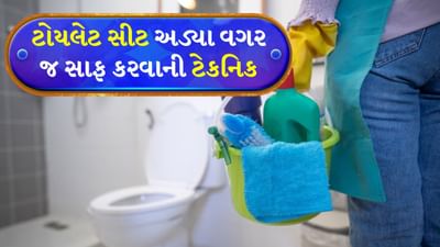 Toilet Cleaning Tips: ટોયલેટનો ઉપયોગ દરરોજ થાય છે. તેમજ જો ઘરમાં વધુ લોકો હોય અથવા કોઈ મહેમાન આવે તો તે વધુ ગંદુ થઈ જાય છે. જો કે ગંદા ટોયલેટ સીટને વારંવાર સાફ કરવી ખૂબ જ મુશ્કેલ કાર્ય છે. જો તેને સમયસર સાફ ન કરવામાં આવે તો તે અસ્વચ્છ બની જાય છે.
