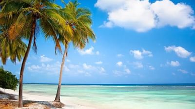 ગુજરાત ભારતતનું એક એવું રાજ્ય છે. જે ફરવા માટે ખુબ સુંદર છે. ગુજરાતમાં કેટલાક એવા ફરવા લાયક સ્થળો આવેલા છે. જ્યાં તમે ઉનાળાના વેકેશનમાં પણ ફરવાનો પ્લાન બનાવી શકો છો. આજે આપણે ગુજરાતના સુંદર અને સાફ તેમજ વેકેશન માટે પરફેક્ટ બીચ વિશે વાત કરીશું.