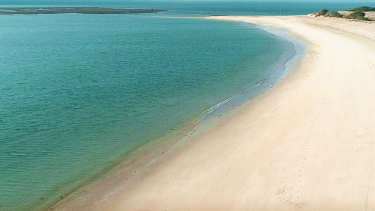 ગુજરાતના પોરબંદરનો ચોપાટી બીચ સૌથી શાંત છે. અમદાવાદથી 394 કિલોમીટર દુર આવેલો છે. પરિવાર સાથે આ બીચ વેકેશન માટે બેસ્ટ માનવામાં આવે છે.