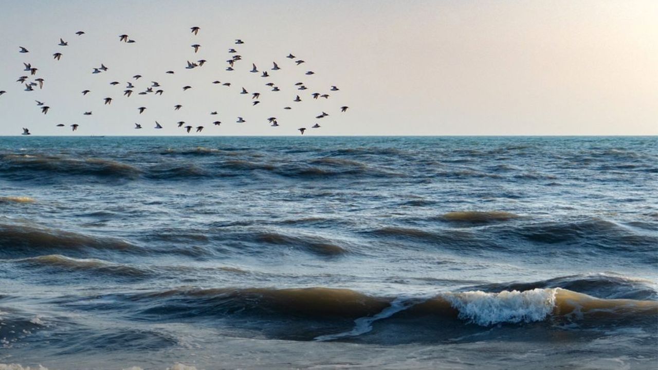 ગોપનાથ બીચ ગુજરાતના ભાવનગર જિલ્લામાં આવેલો છે. આ બીચના કિનારે ગોપનાથ મહાદેવનું મંદિર પણ છે. આ બીચ ખૂબ જ સુંદર છે.