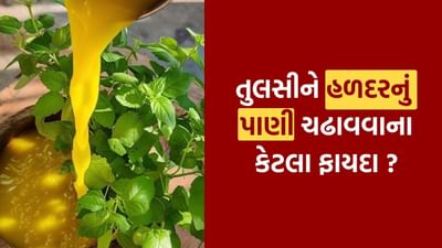 તુલસીને દેવી લક્ષ્મીનું સ્વરૂપ માનવામાં આવે છે અને હળદરને ભગવાન વિષ્ણુનું કારક માનવામાં આવે છે. આ બંનેના મિશ્રણથી ઘરમાં લક્ષ્મી અને વિષ્ણુના સંયુક્ત આશીર્વાદ આવે છે, જેનાથી ધન અને સમૃદ્ધિમાં વધારો થાય છે.