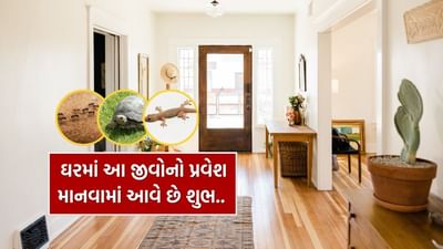 વાસ્તુ અનુસાર, ઘરમાં કોઈ જીવોનું આગમન શુભ કે અશુભ સંકેત માનવામાં આવે છે. ઘરમાં કાળી કીડીઓનું આગમન ધન, સુખ અને સમૃદ્ધિનો સંકેત છે.