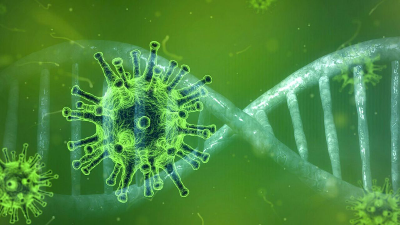 જોકે, આ ભવિષ્યવાણી સાચી થવામાં હજુ 63 વર્ષ દૂર છે, પરંતુ વર્તમાન પરિસ્થિતિઓને જોતાં, તેનાથી સંબંધિત ઘણા સંકેતો દેખાવા લાગ્યા છે. હવામાન અને આબોહવા ઝડપથી બદલાઈ રહ્યા છે, અને જૈવિક યુદ્ધ માટે પ્રયોગશાળાઓમાં વાયરસ બનાવવામાં આવી રહ્યા છે. આમ, બાબાવેંગાની આ આગાહી ગંભીર ચિંતાનો વિષય બની ગઈ છે.