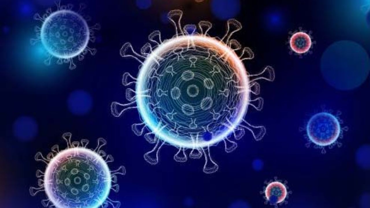 (નોંધ: બાબા વેંગાની આગાહીઓ સામાન્ય રીતે અસ્પષ્ટ હોય છે અને તેનું અર્થઘટન અલગ અલગ રીતે કરવામાં આવે છે. આ લેખ ફક્ત માહિતી અને ચર્ચાના હેતુ માટે પ્રદાન કરવામાં આવ્યો છે. TV9 ગુજરાતી આ દાવાની પુષ્ટિ કરતું નથી.)